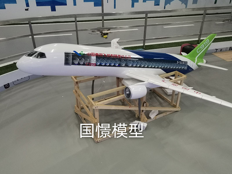 博兴县飞机模型